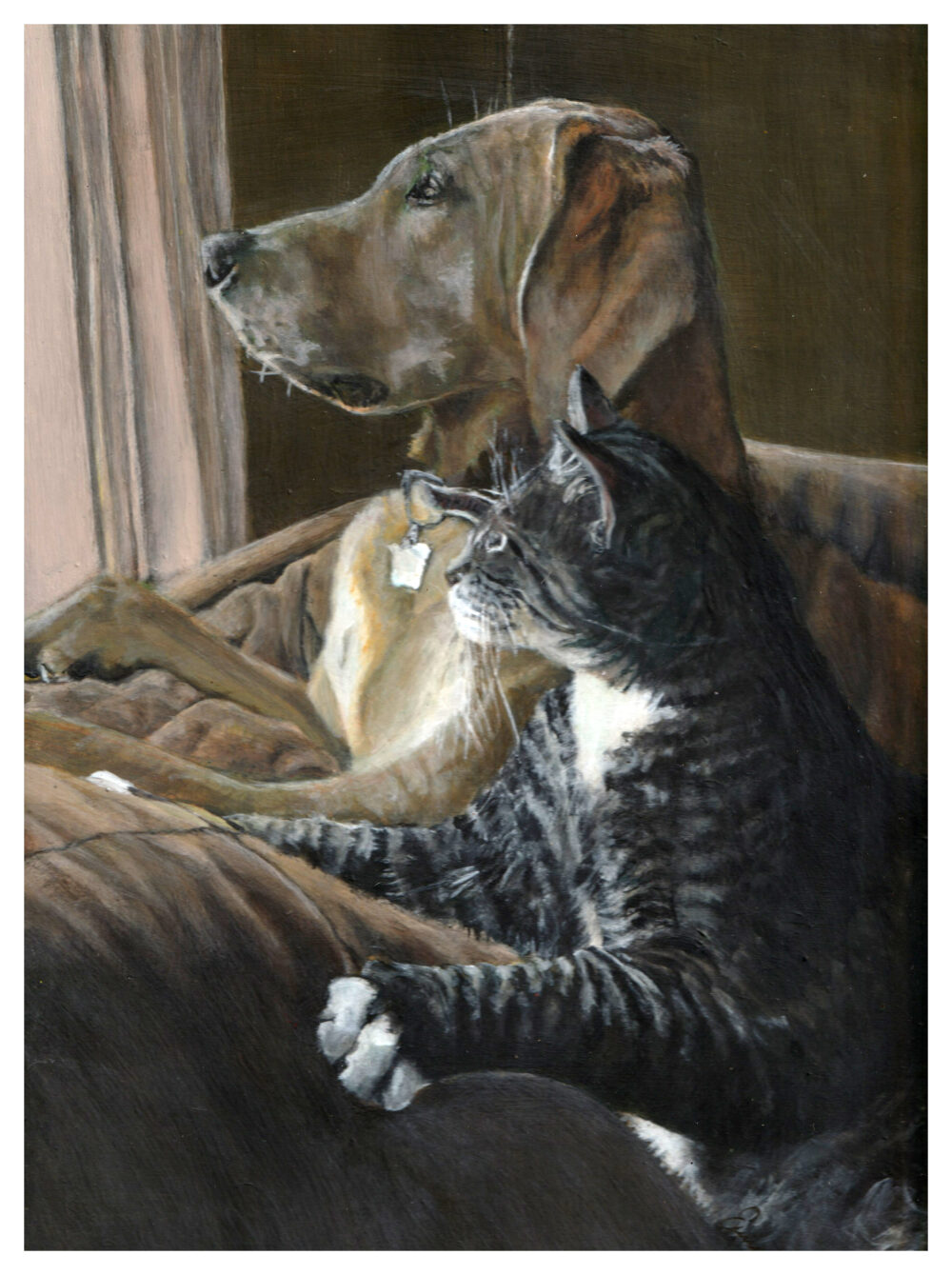 Expressive Animal Portraits - Image 2